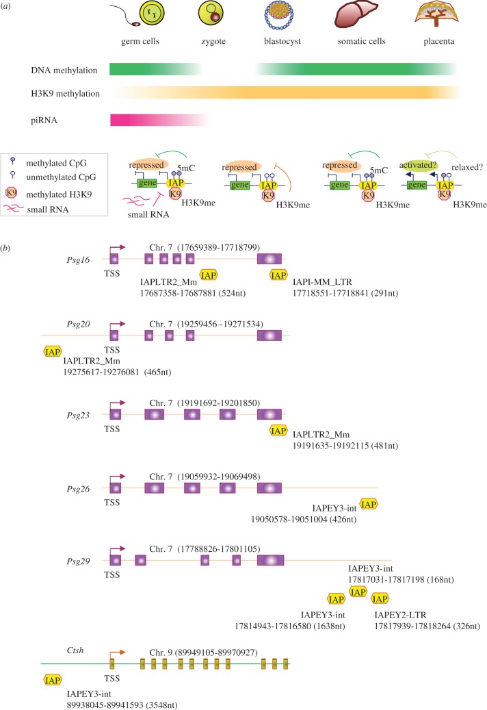 Figure 2.