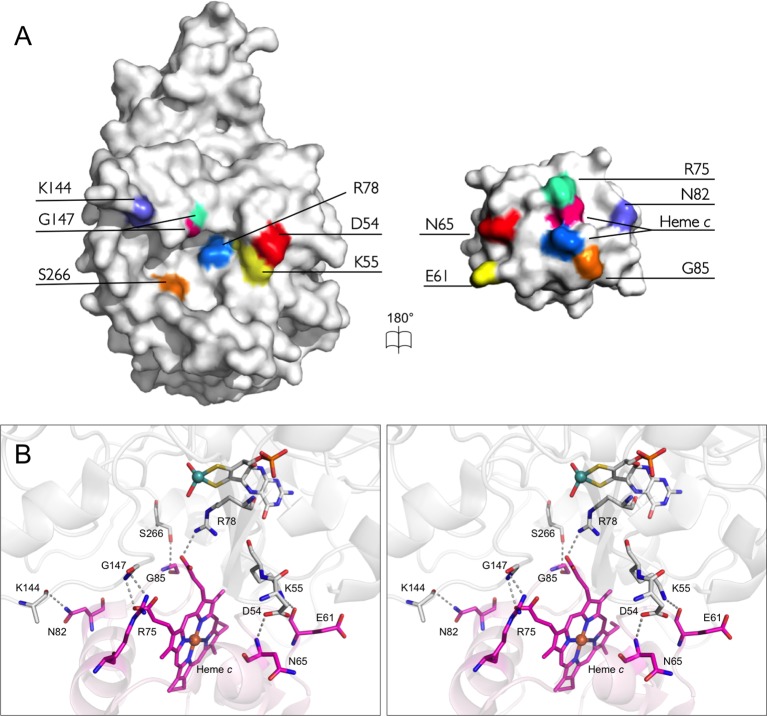 Figure 7.