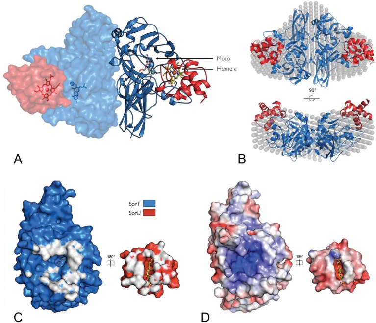 Figure 3.