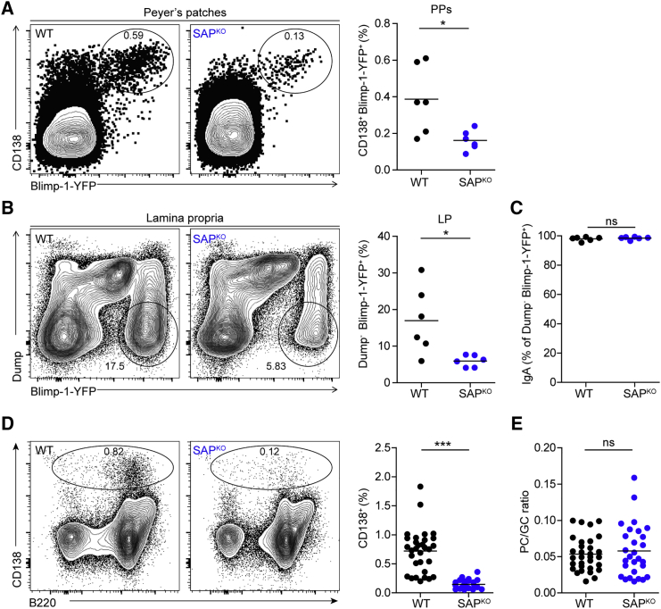 Figure 6