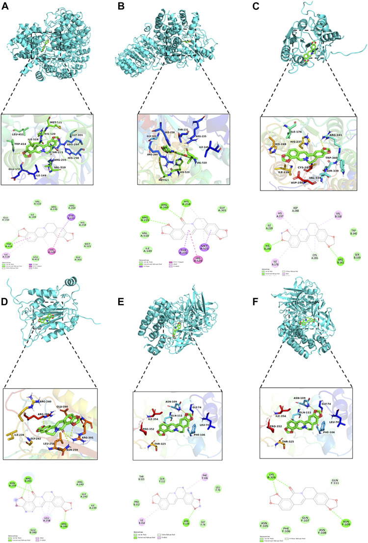 FIGURE 10