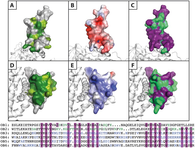 Figure 6.