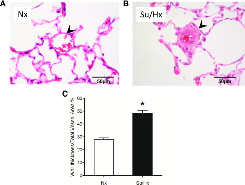 Fig. 9.