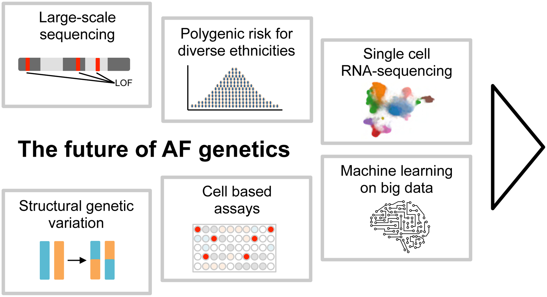 Figure 5: