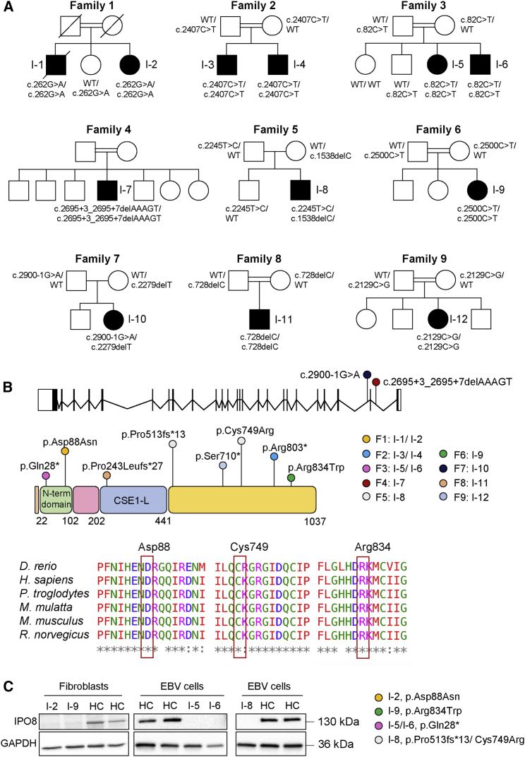 Figure 2