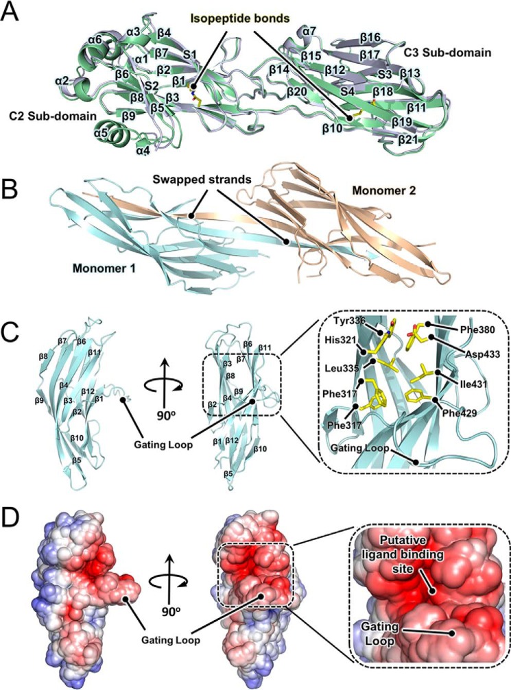 FIGURE 6.