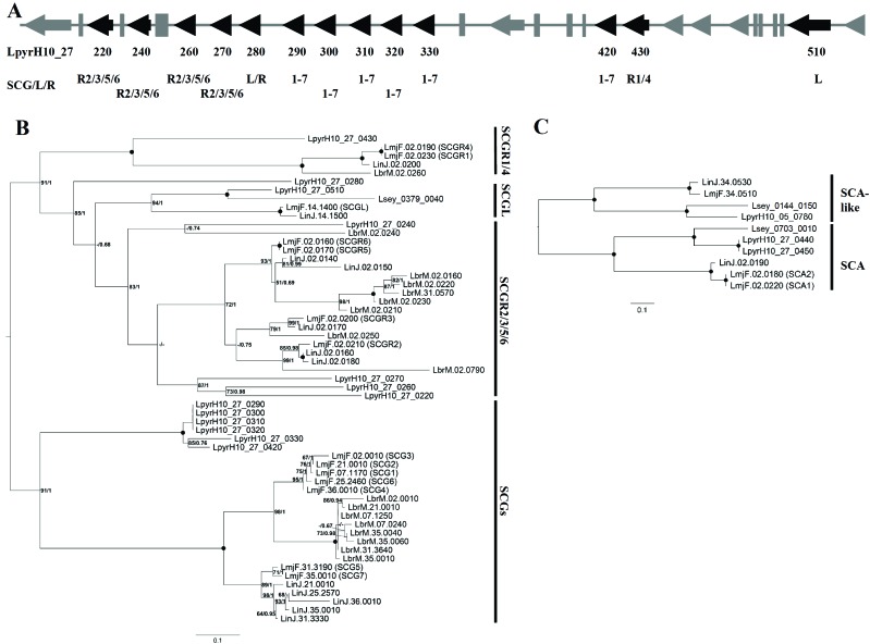 Fig. (2)