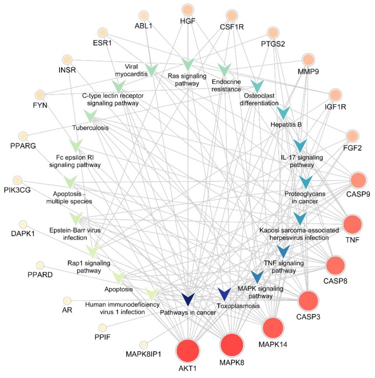 Uncovering The Pharmacological Mechanism Of Stemazole In The Treatment 