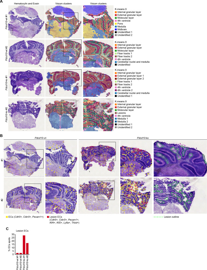 Figure 4—figure supplement 1.