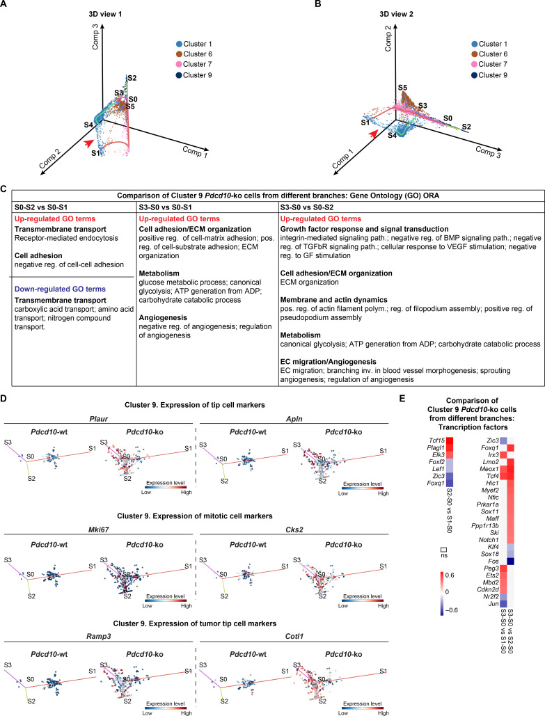 Figure 6—figure supplement 1.