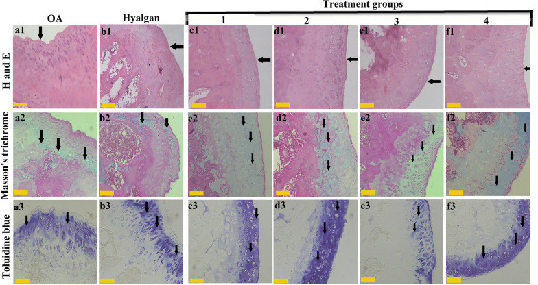 Fig.2