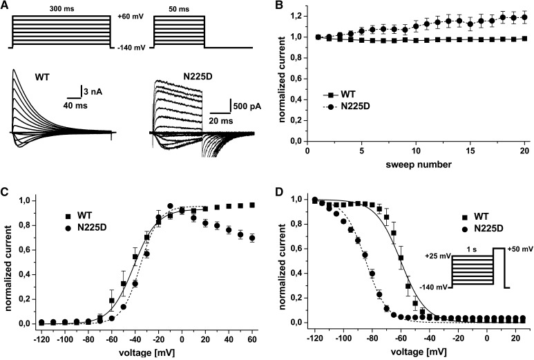 Fig. 2