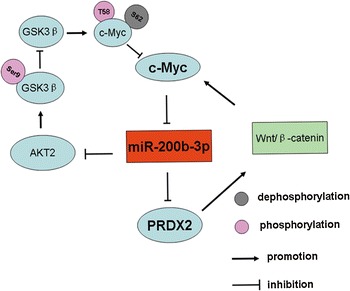 Fig. 8