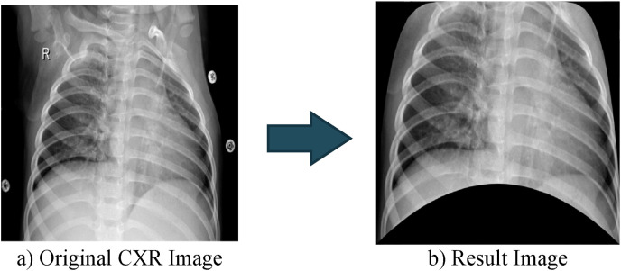 Fig. 5