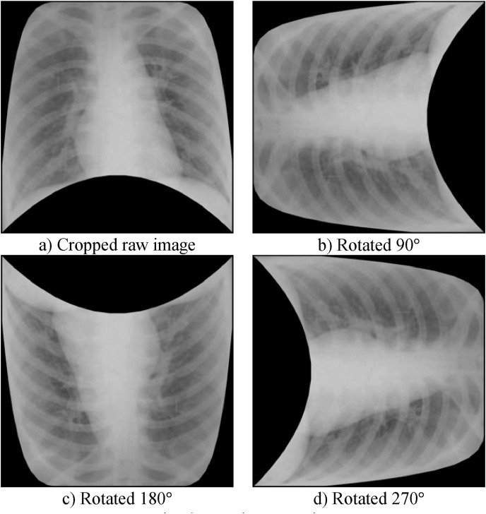 Fig. 6