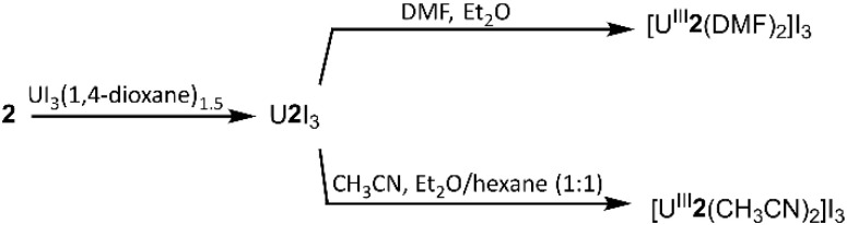 Scheme 2