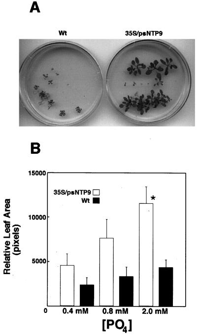 Figure 5