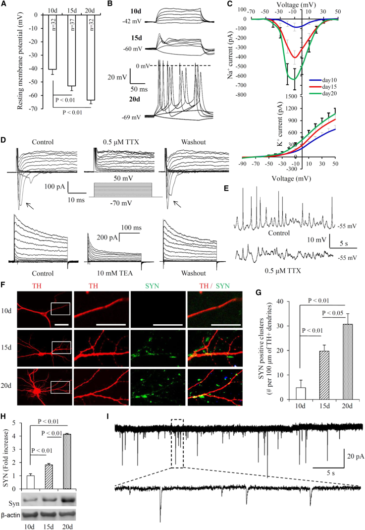 Figure 2