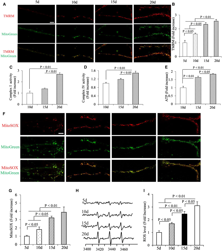 Figure 3