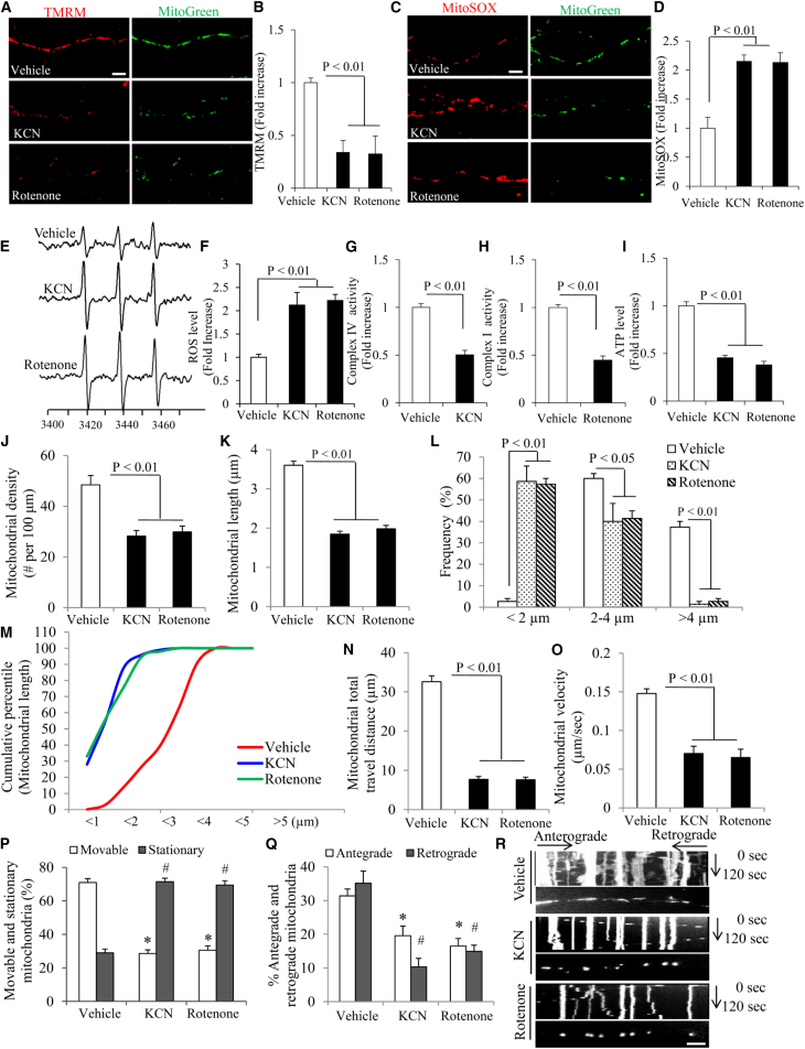 Figure 6