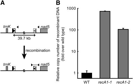 Figure 6.