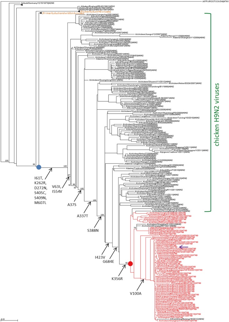 FIG 1