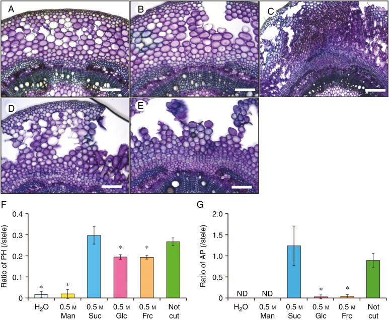 Fig. 8.