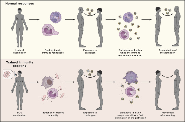 Figure 4