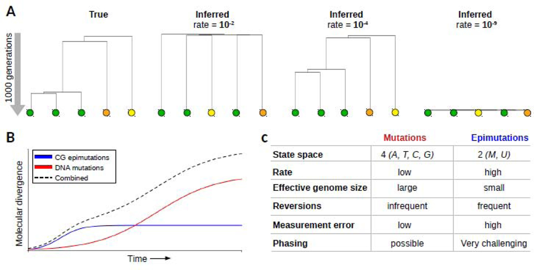 Fig. V: