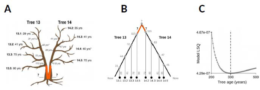 Fig. IV: