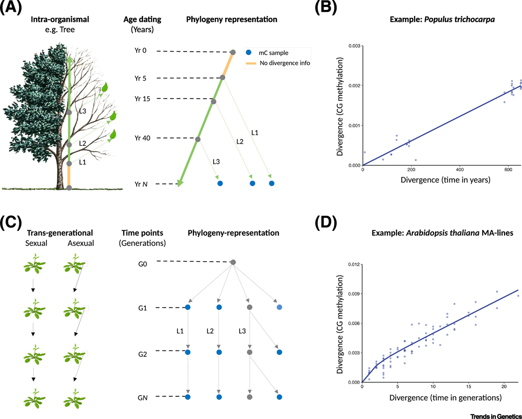 Fig. III: