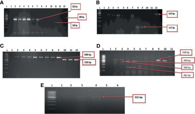 Figure 5