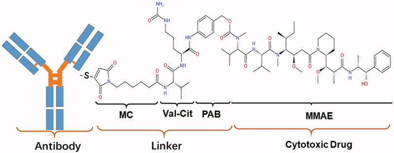 Figure 2.