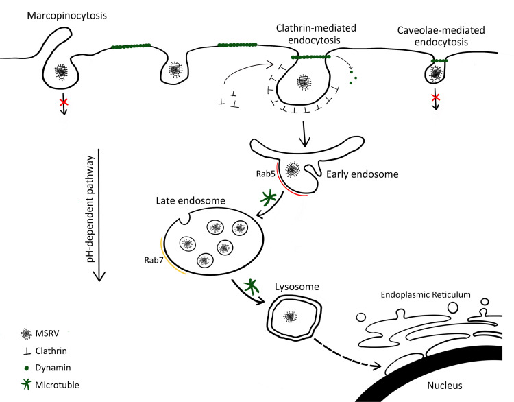 Fig 10