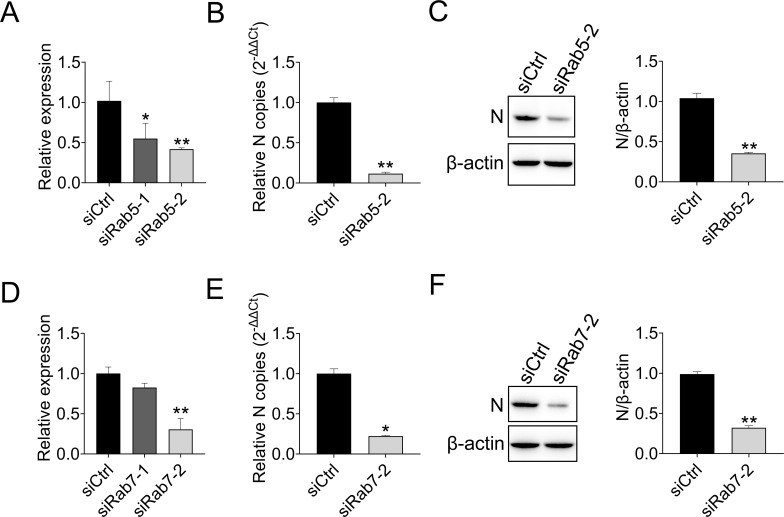 Fig 8