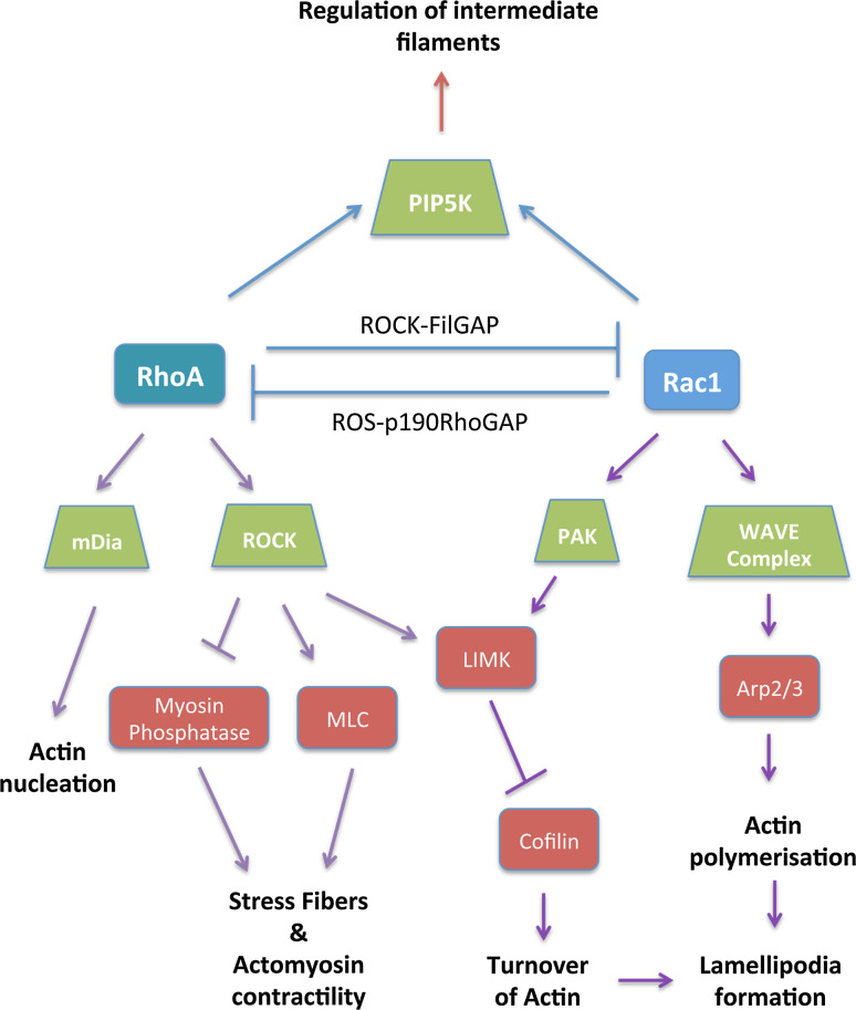 Fig. 4