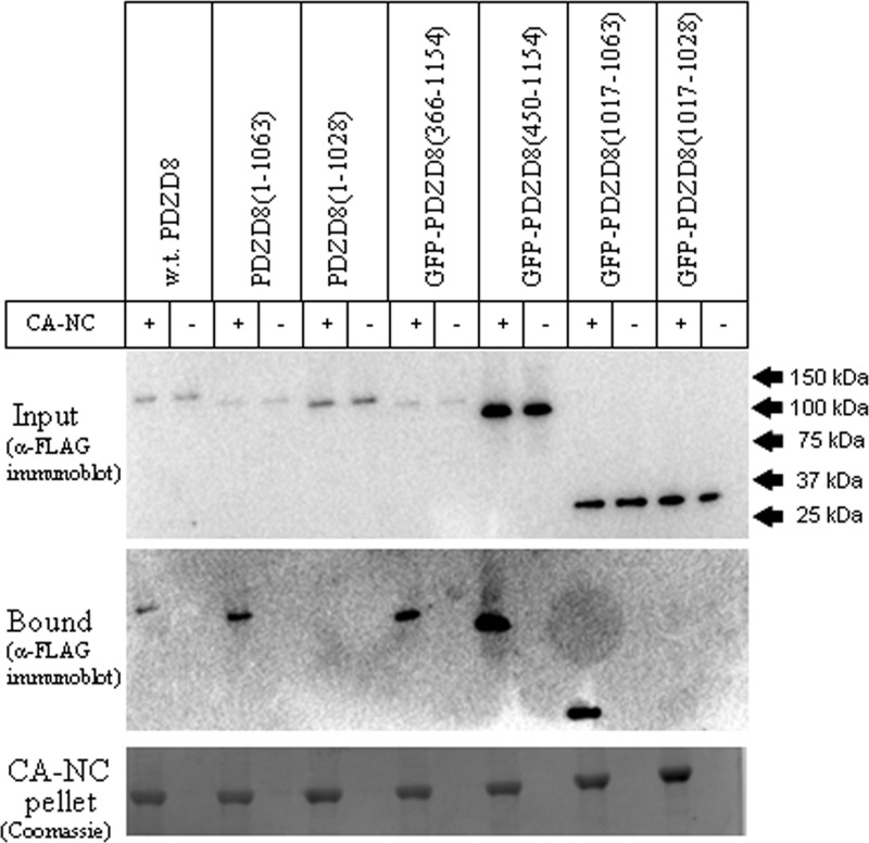 FIG 8