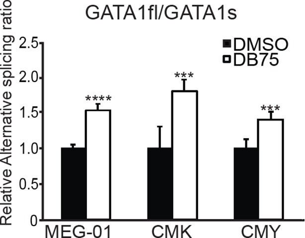 Figure 6—figure supplement 1.