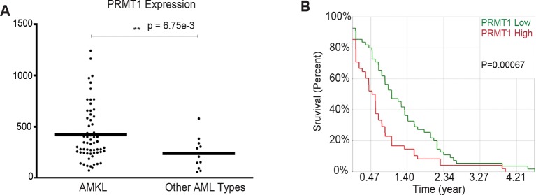 Figure 1—figure supplement 1.