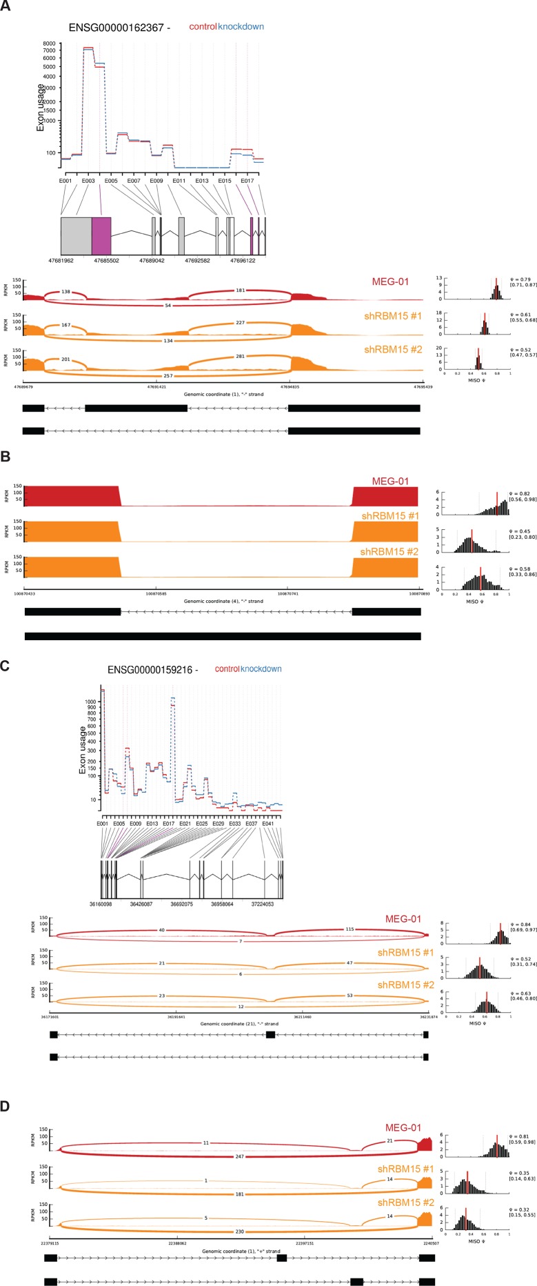 Figure 5—figure supplement 4.