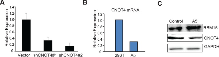 Figure 3—figure supplement 2.