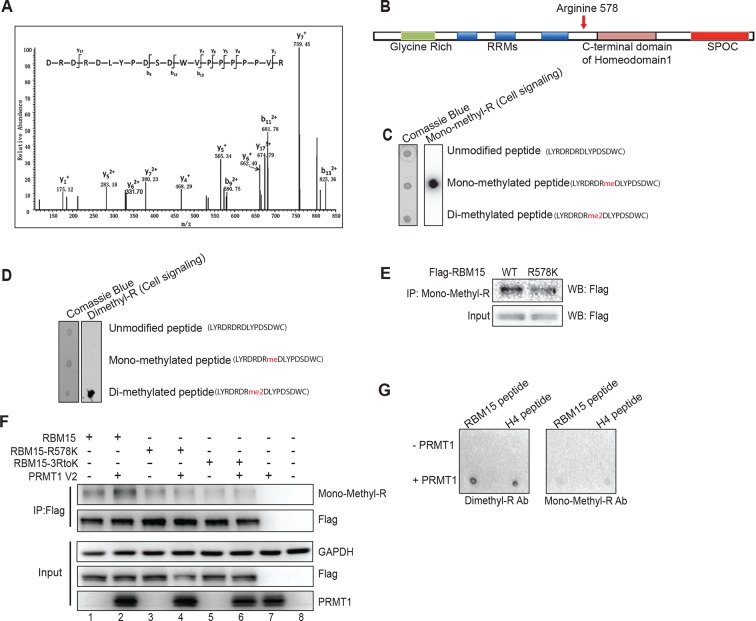 Figure 1—figure supplement 3.