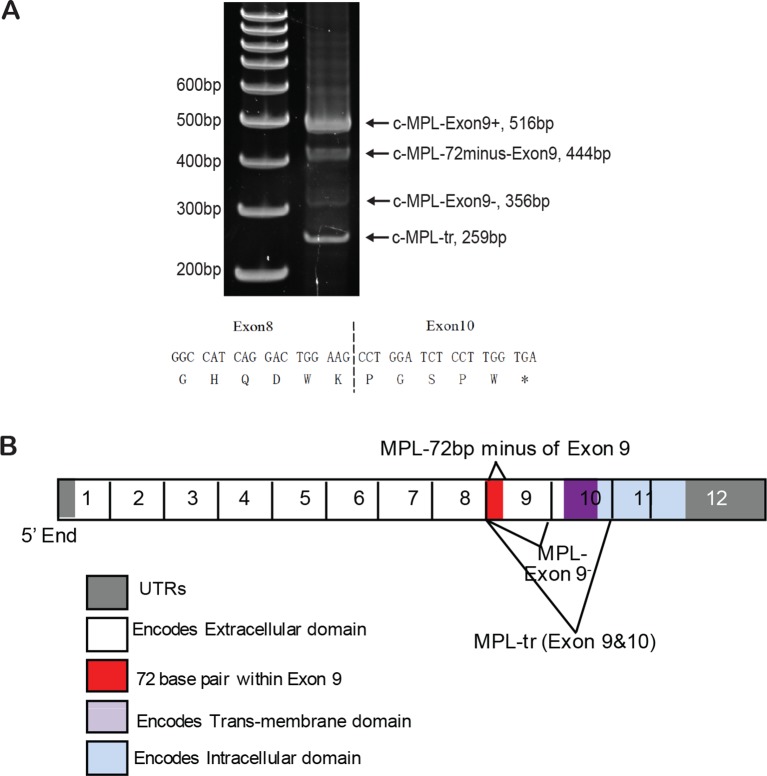 Figure 6—figure supplement 2.