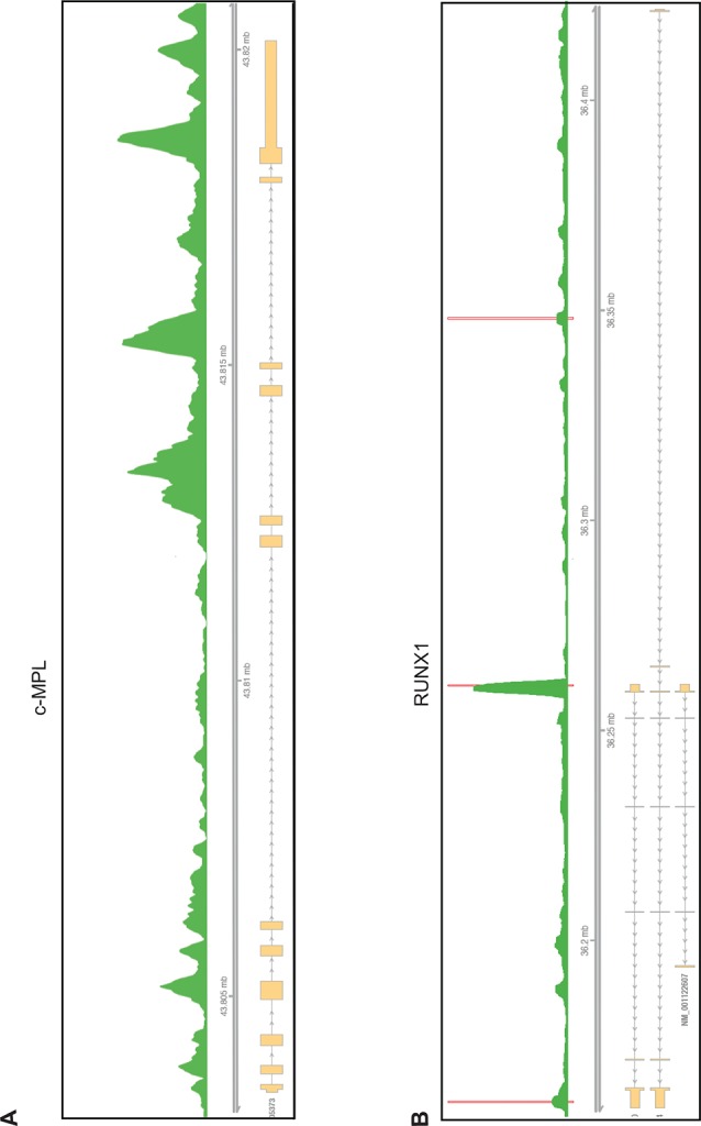 Figure 5—figure supplement 2.