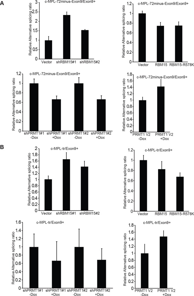 Figure 6—figure supplement 3.