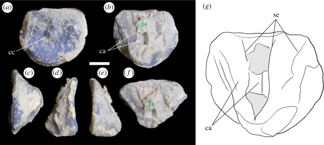 Figure 6.