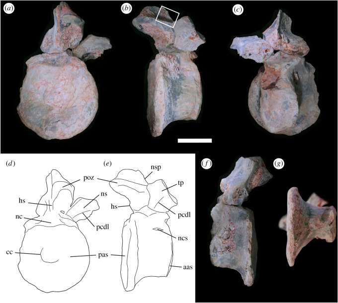 Figure 2.