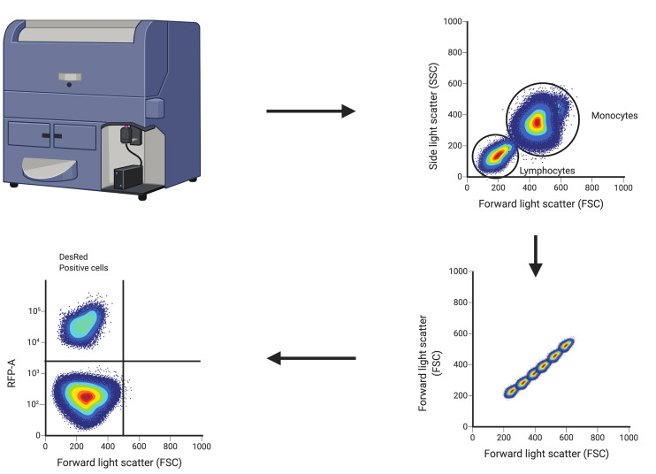 Figure 1.