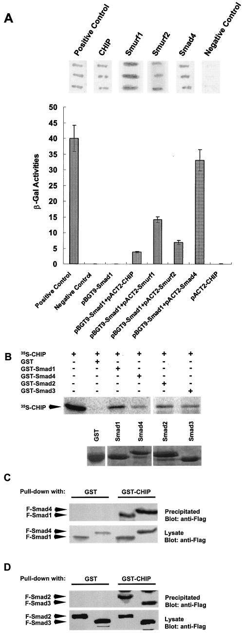 FIG. 1.