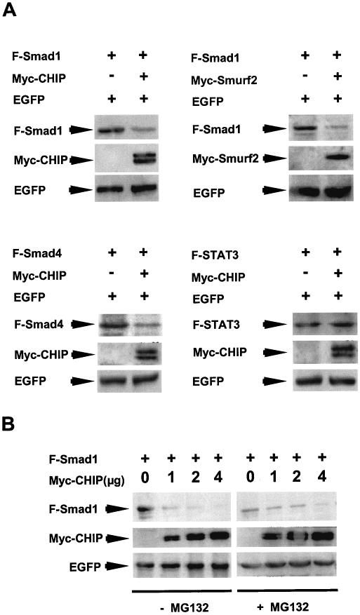 FIG. 4.